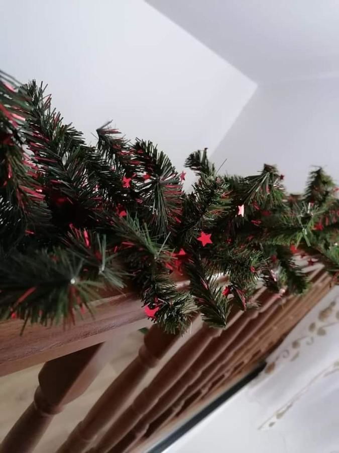 Гостевой дом Casa Ana Bicazu Ardelean